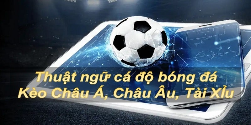 Thống Kê Các Thuật Ngữ Cá Độ Bóng Đá Tại Nhà Cái OK9 3 Ghi nhớ một vài tỷ lệ cược khác tại nhà cái